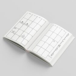 Zoned In Studio Astro and Tarot Planner